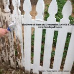 The Power of Hope and Compassion: Let’s Git-R-Done