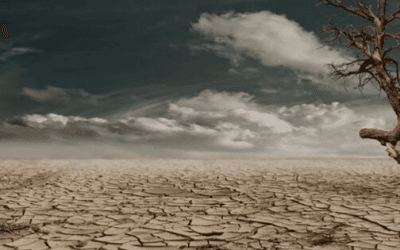 10 Lessons from a Desert Dweller