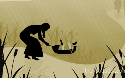3 Principles for Putting Your Baby in the Basket
