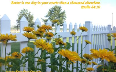 A Pin For You And Giveaway Winner