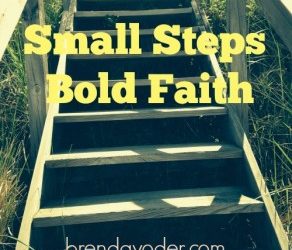 Small Steps In Bold Faith