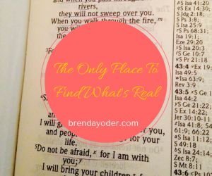 The Only Place to Find What’s Real