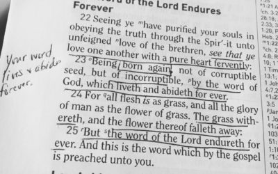 Bigger, More, and Better?