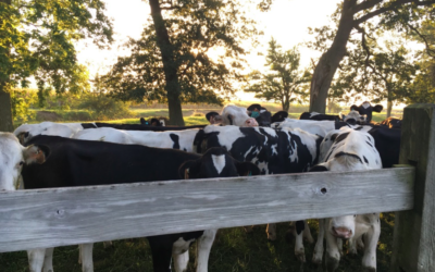 The Most Precious Gift You Already Have