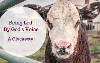 Being Led by God’s Voice–A Giveaway!
