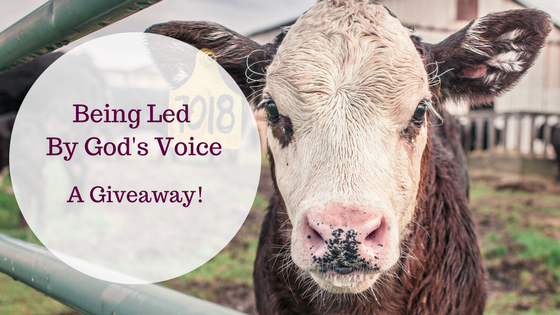 Being Led by God’s Voice–A Giveaway!