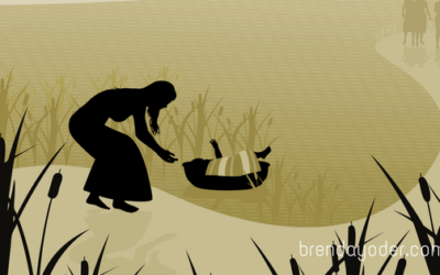 3 Principles for Putting Your Baby in the Basket