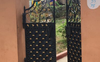 14 Lessons from 14 Days in India