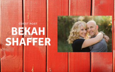 Parenting a Ministry Instead of a Child