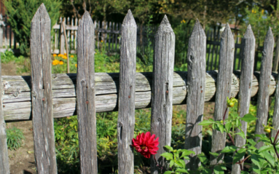 Why Your Kids Need Boundaries