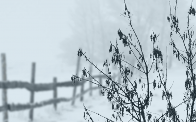 Where is God in the Dark Night of the Soul