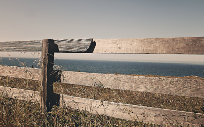 5 Principles for Life’s Transitions