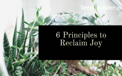 6 Principles to Reclaim Joy