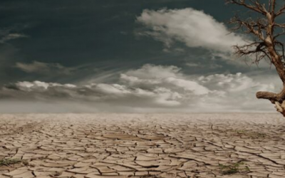 10 Lessons from a Desert Dweller