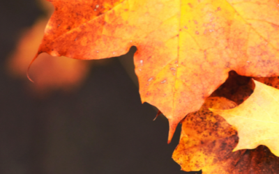 5 Killers of Love That Bring Out The Worst in You