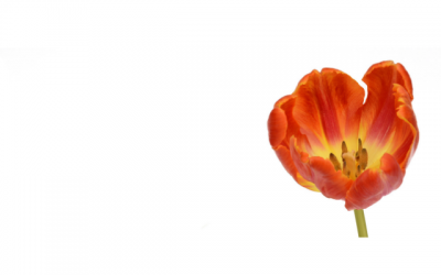 Christian Wisdom: 10 Things I’m Learning